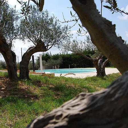 Bed & Breakfast In Sicilia Da Ciro